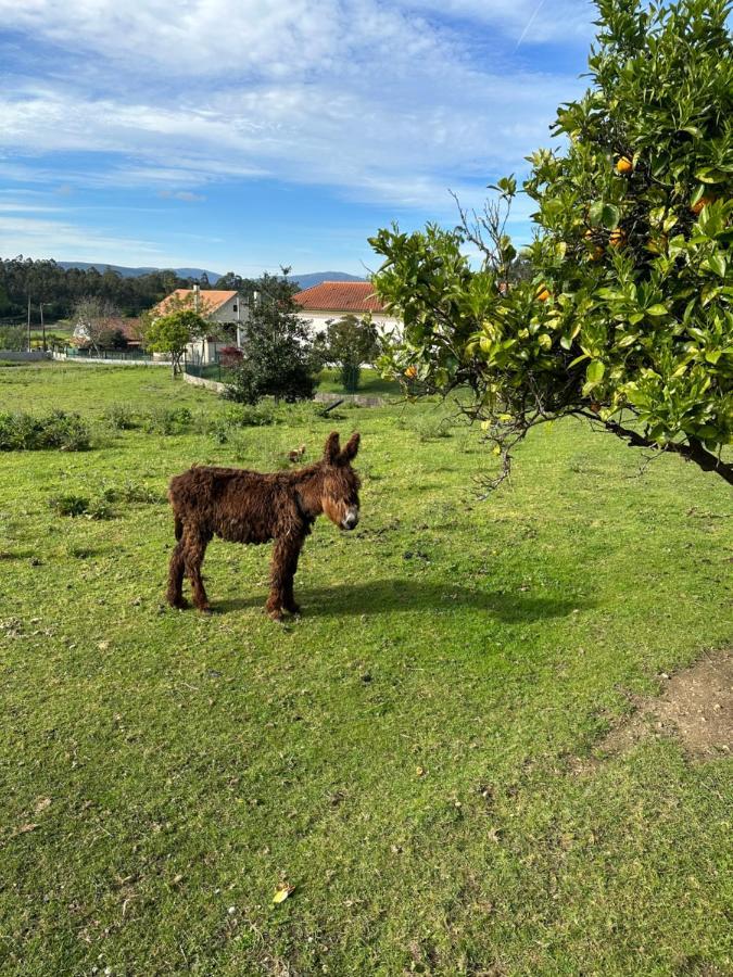 דירות Reboreda Quintinha Do Martins מראה חיצוני תמונה